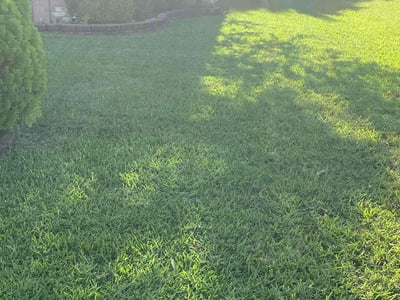 Lawn care service in Mesquite, 75181