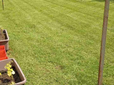 Lawn care service in Clayton, 45315