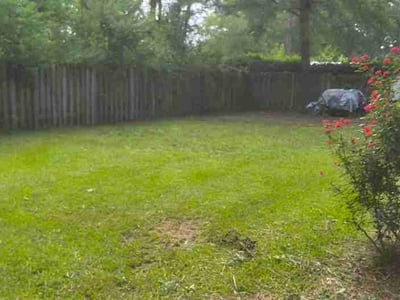 Lawn care service in Pooler, 31322