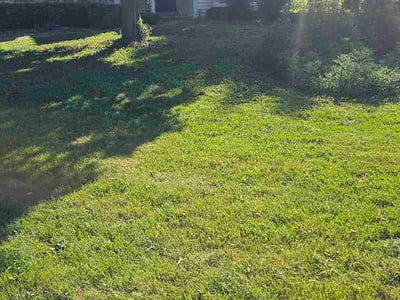Lawn care service in Brookfield, 53045