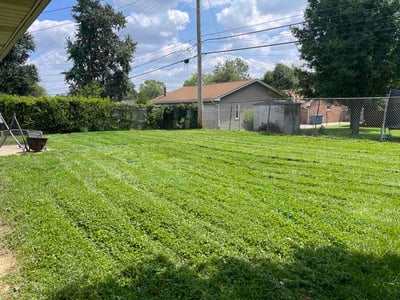 Lawn care service in Dayton, 45424