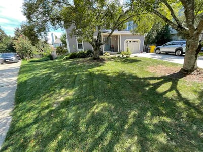 Lawn care service in Odenton, 21113