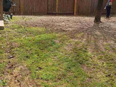 Lawn care service in San Antonio, 78253