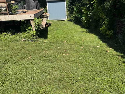 Lawn care service in Omaha, 68124