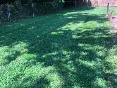 Lawn care service in Louisville, 40291