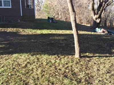 Lawn care service in , 