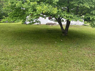 Lawn care service in Clarksville, 37040