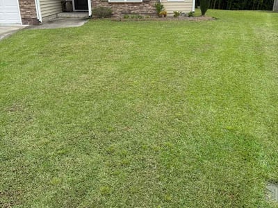 Lawn care service in Greenville, 27834