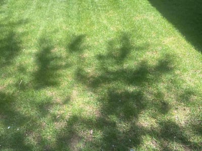 Lawn care service in Greeley, 80634
