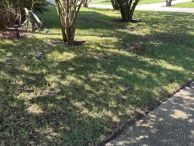 Lawn care service in Orlando, 32828