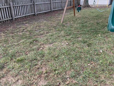 Lawn care service in Richmond, 23238