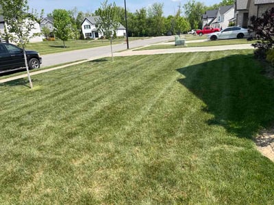 Lawn care service in Nicholasville, 40356