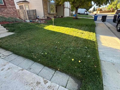 Lawn care service in Littleton, 80127