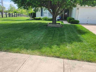 Lawn care service in Indianapolis, 46239