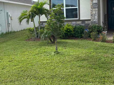 Lawn care service in Parrish, 34219