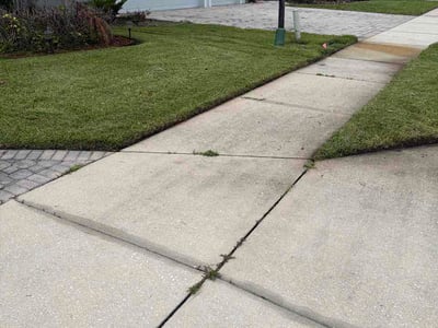 Lawn care service in Sanford, 32771