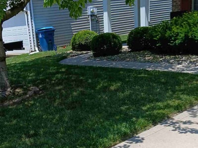 Lawn care service in Belleville, 62226
