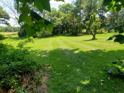 Lawn care service in Rosedale, 21237