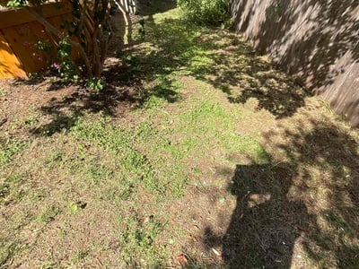 Lawn care service in , 