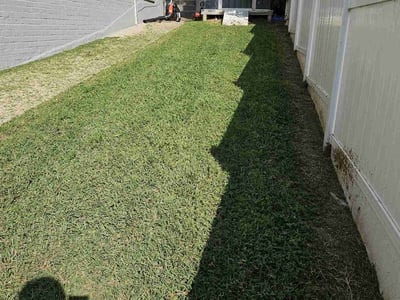 Lawn care service in Washington, 20032
