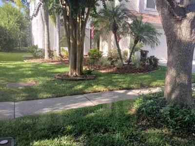 Lawn care service in Lutz, 33558