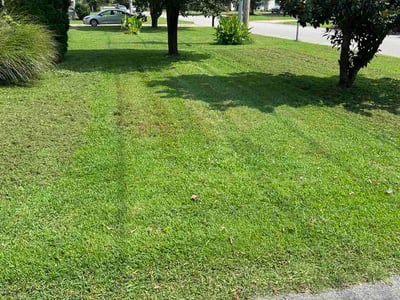Lawn care service in Mt. Juliet, 37122