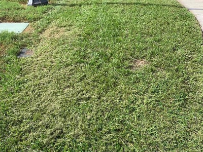 Lawn care service in Lakeland, 33812
