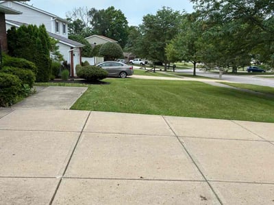 Lawn care service in Parma, 44134