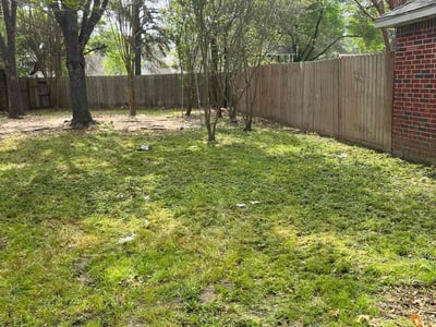 Lawn care service in Houston, 77095