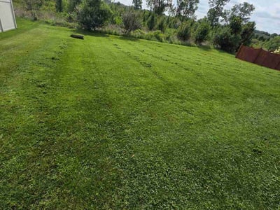 Lawn care service in Newburgh, 47630