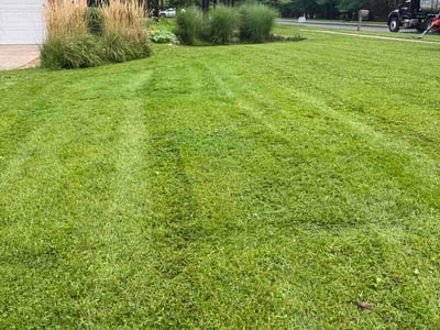 Lawn care service in Okemos, 48864
