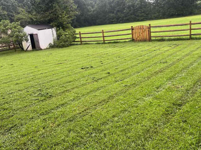 Lawn care service in Monroe, 28110