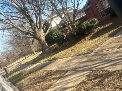 Lawn care service in Allen, 75002