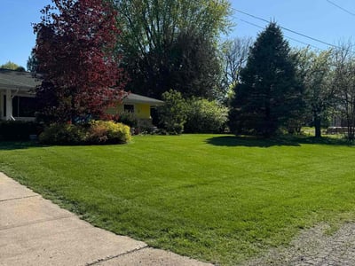 Lawn care service in Stoughton, 53589