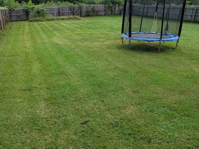 Lawn care service in Clarksville, 37043