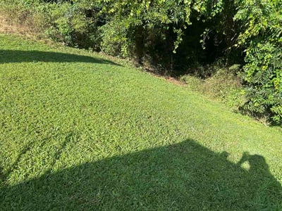 Lawn care service in Lithonia, 30058
