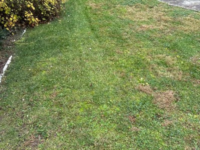 Lawn care service in Bethesda, 20816