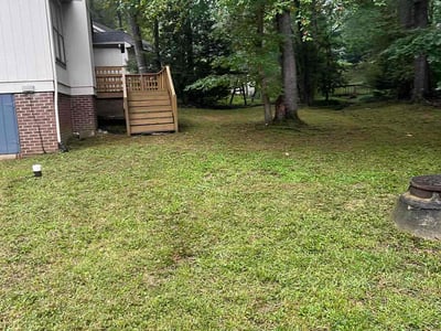 Lawn care service in Cary, 27511