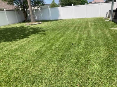 Lawn care service in Marrero, 70072