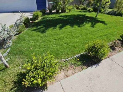 Lawn care service in Boise, 83704
