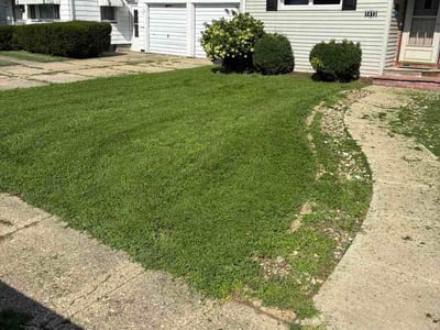 Lawn care service in Pekin, 61554