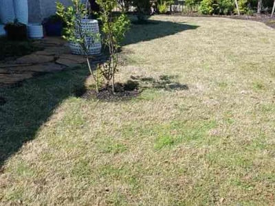 Lawn care service in Richmond, 77406