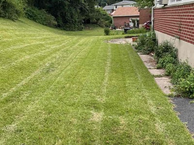 Lawn care service in Towson, 21286
