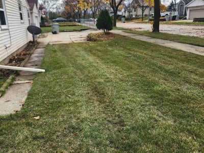 Lawn care service in Milwaukee, 53214