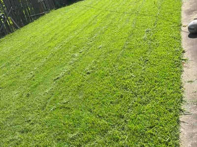 Lawn care service in Tulsa, 74129