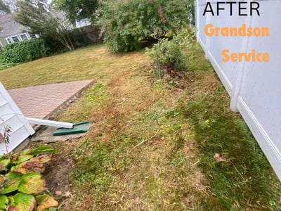 Lawn care service in Glen Cove, 11542