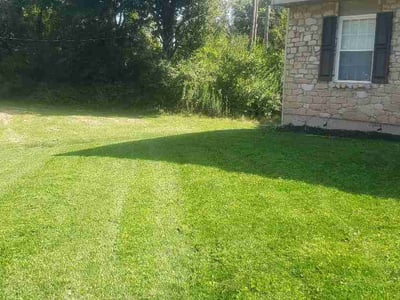 Lawn care service in Maineville, 45039
