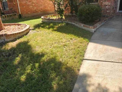 Lawn care service in McKinney, 75070