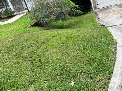 Lawn care service in Atlanta, 30318