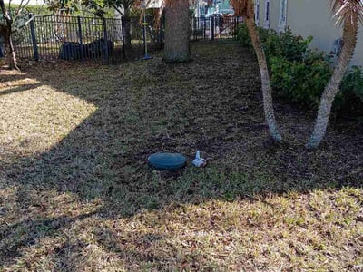 Lawn care service in St. Augustine, 32080